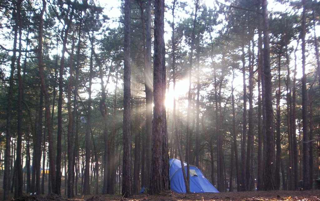 Gdansk Campsite Morning